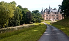 Degustazione Champagne in vigneti privati