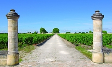 Visite guidée des grands vins Cabernet du Medoc