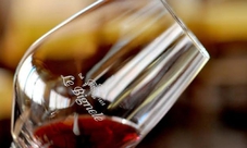 Cata de Vino en la Bodega Le Bignele para 2