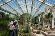 Royal Botanical Gardens London - For Two