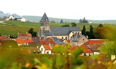 Full day tour in Champagne